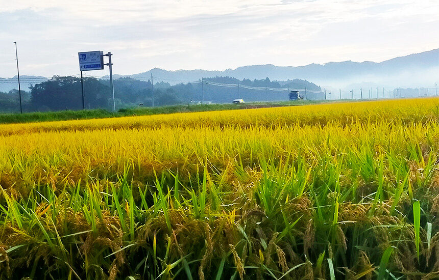宮城県南地域の田園風景は一味違う。あなたの旅に合う田園風景マリアージュを探す旅。旅、観光の拠点として最適なゲストハウスの紹介も。 | 東北ルート66